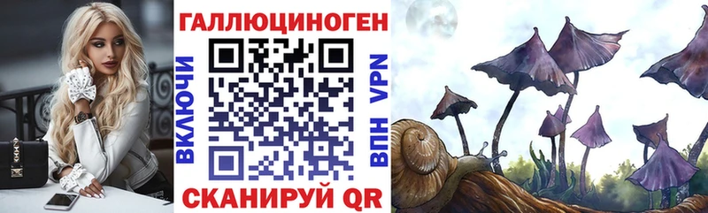 Галлюциногенные грибы мицелий  закладки  Белокуриха 